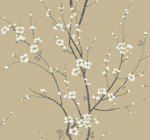 TR70907 Cherry Branches Hazel Wallpaper