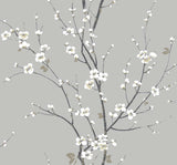 TR70908 Cherry Branches Ash Wallpaper
