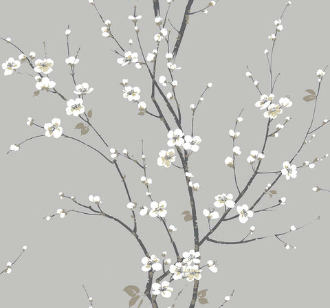 TR70908 Cherry Branches Ash Wallpaper