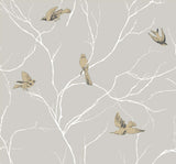 TR71105 Dreamy Birds Sand Wallpaper 
