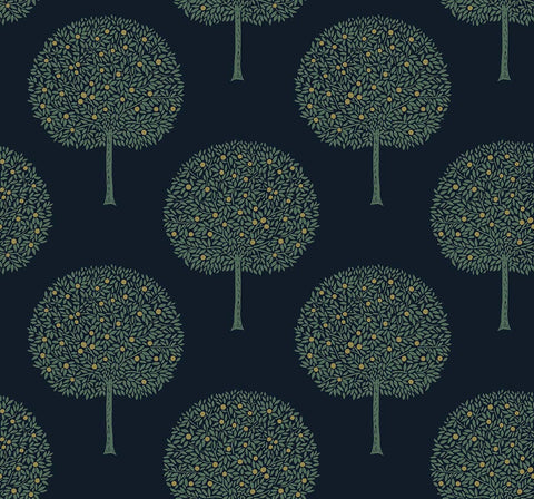 TR71302 Fruit Trees Space Wallpaper 