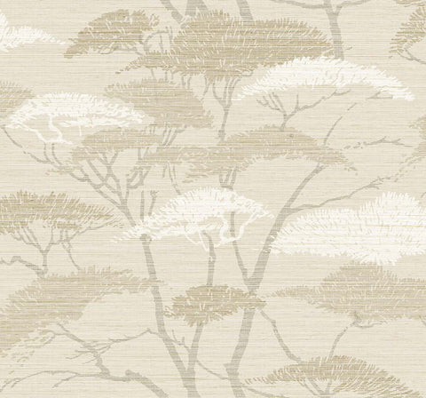 TR71405 Sanctuary Almond Wallpaper