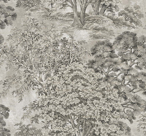 TR72008 Majestic Grass Trees Silver Coast Wallpaper 