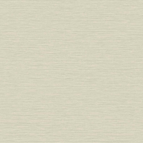 TS81417 Abstract Horizontal Lines Taupe Wallpaper