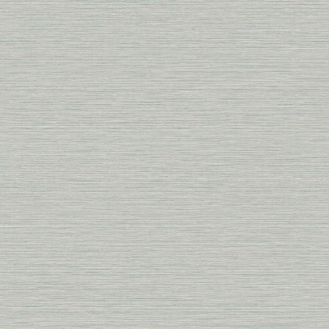 TS81438 Abstract Horizontal Lines Gray Wallpaper