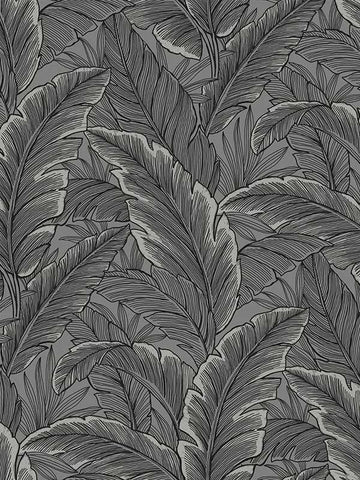 UK10004 Tropical Leaves Wallpaper