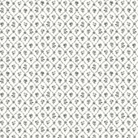 VI80400 Cossette Licorice Wallpaper