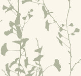VR1510 Ginkgo Silhouette Sage Cork Wallpaper