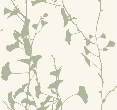 VR1510 Ginkgo Silhouette Sage Cork Wallpaper