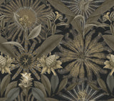 VR1531 Enchanted Garden Black Tropical Wallpaper