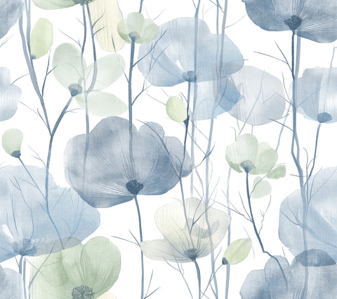 VR1535 Cotswolds Poppies Blue Floral Wallpaper