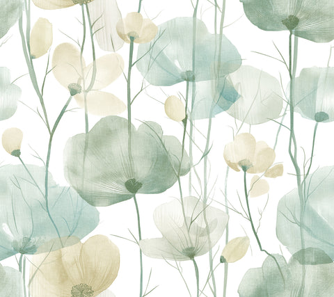 VR1539 Cotswolds Poppies Turquoise Floral Wallpaper