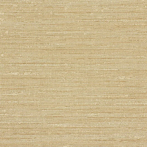 W3688.16 Solid Beige Wallpaper