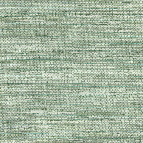 W3688.353 Solid Light Green Wallpaper 