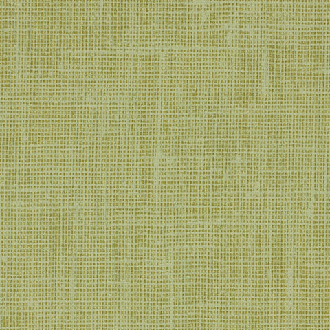 W3704.314 Solid Celery Wallpaper