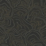 W3719.8 Ronald Redding Black Modern Wallpaper