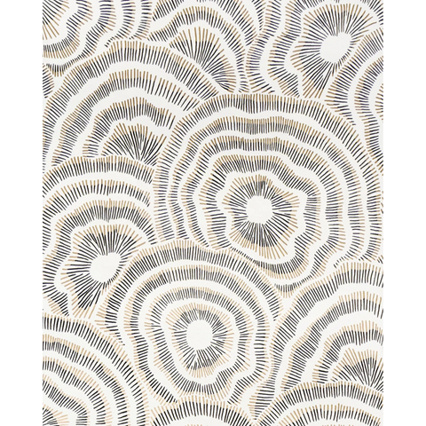  W3823.84.0 Panache Wp Onyx Kravet Couture Wallpaper