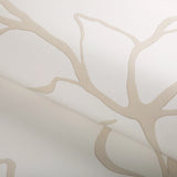 W3886.161 Floral Sketch Wp Natural Wallpaper 