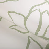 W3886.30 Floral Sketch Wp Sage Wallpaper
