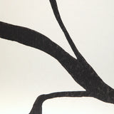 W3886.8 Floral Sketch Wp Onyx Wallpaper 