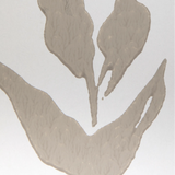 W3937.106 Climbing Leaves Wp Fawn Wallpaper