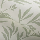 W3939.31 Wispy Vines Wp Lichen Botanical Wallpaper 