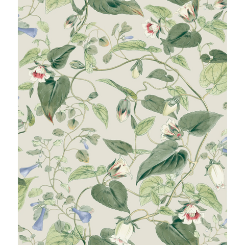 W4132.315 Green Botanical Wallpaper