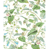 W4132.31 Green Botanical Wallpaper 