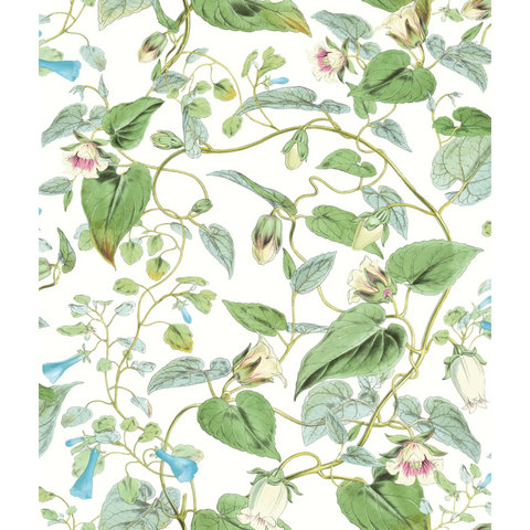 W4132.31 Green Botanical Wallpaper 