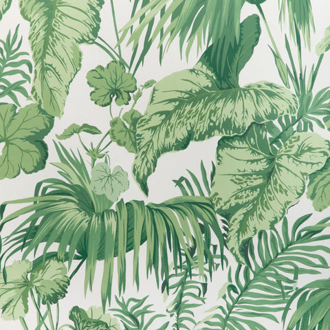 W4145.31 Yasuni Green Leaves Wallpaper  