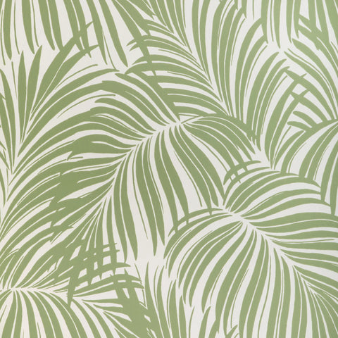 W4149.23 Palm Leaf Wp Green Tropical Wallpaper