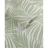 W4149.30 Palm Leaf Wp Green Tropical Wallpaper