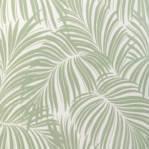W4149.30 Palm Leaf Wp Green Tropical Wallpaper