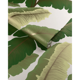 W4151.153 Isla Royal Wp Green Botanical Wallpaper