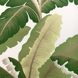 W4151.153 Isla Royal Wp Green Botanical Wallpaper