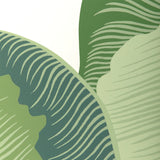 W4151.33 Isla Royal Wp Green Botanical Wallpaper