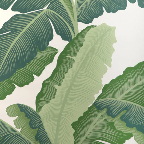 W4151.33 Isla Royal Wp Green Botanical Wallpaper