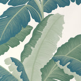 W4151.355 Isla Royal Wp Blue Botanical Wallpaper
