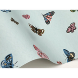W4289.517 Multi Insects Wallpaper 