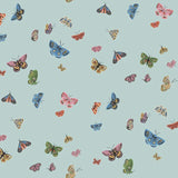W4289.517 Multi Insects Wallpaper 