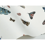 W4289.51 Blue Insects Wallpaper 