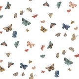 W4289.51 Blue Insects Wallpaper 