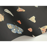 W4289.812 Orange Insects Wallpaper 