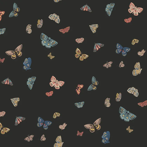 W4289.812 Orange Insects Wallpaper 