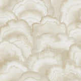 W4313.16 Beige Abstract Wallpaper  