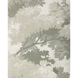 W4330.11 Grey Trees Wallpaper 