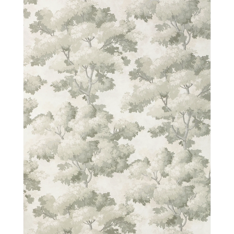 W4330.11 Grey Trees Wallpaper 