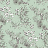 WLD53113W Shelly Mint Toucan Toile Wallpaper