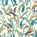WLD53116W Timor White Tropical Parrot Wallpaper