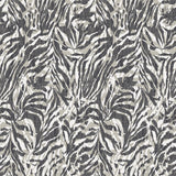 WLD53135W Davy Charcoal Zebra Wallpaper